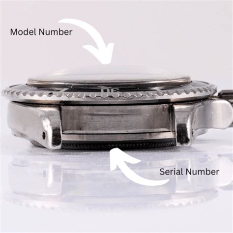 verify tudor serial number|tudor serial number search.